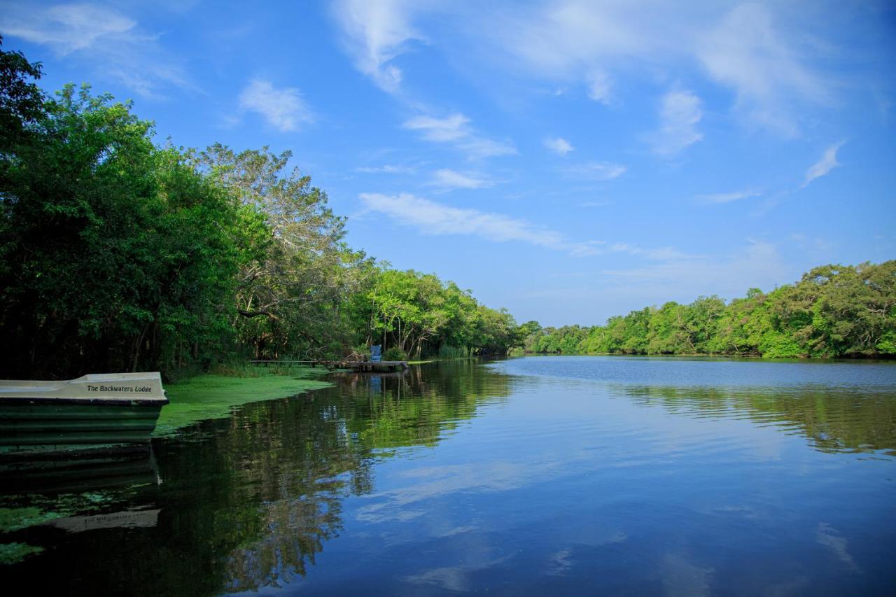 The Backwaters Lodge Wilpattu Luaran gambar