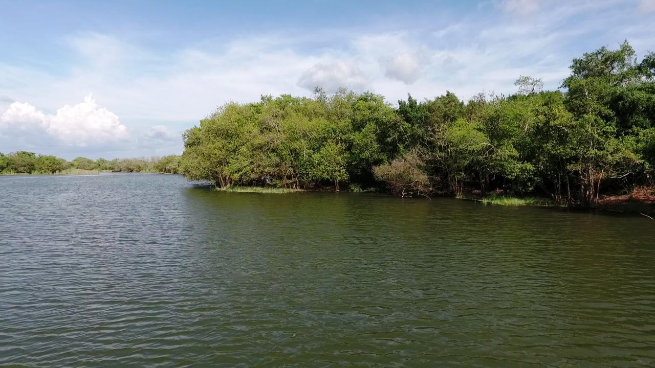 The Backwaters Lodge Wilpattu Luaran gambar